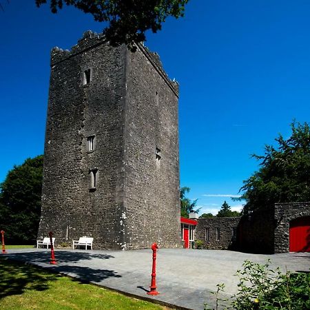 Ross Castle B&BOldcastle エクステリア 写真