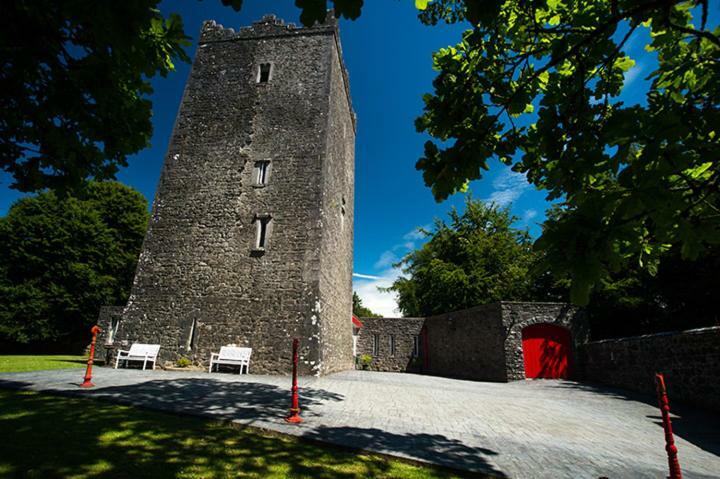 Ross Castle B&BOldcastle エクステリア 写真