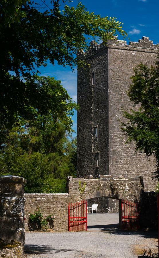 Ross Castle B&BOldcastle エクステリア 写真